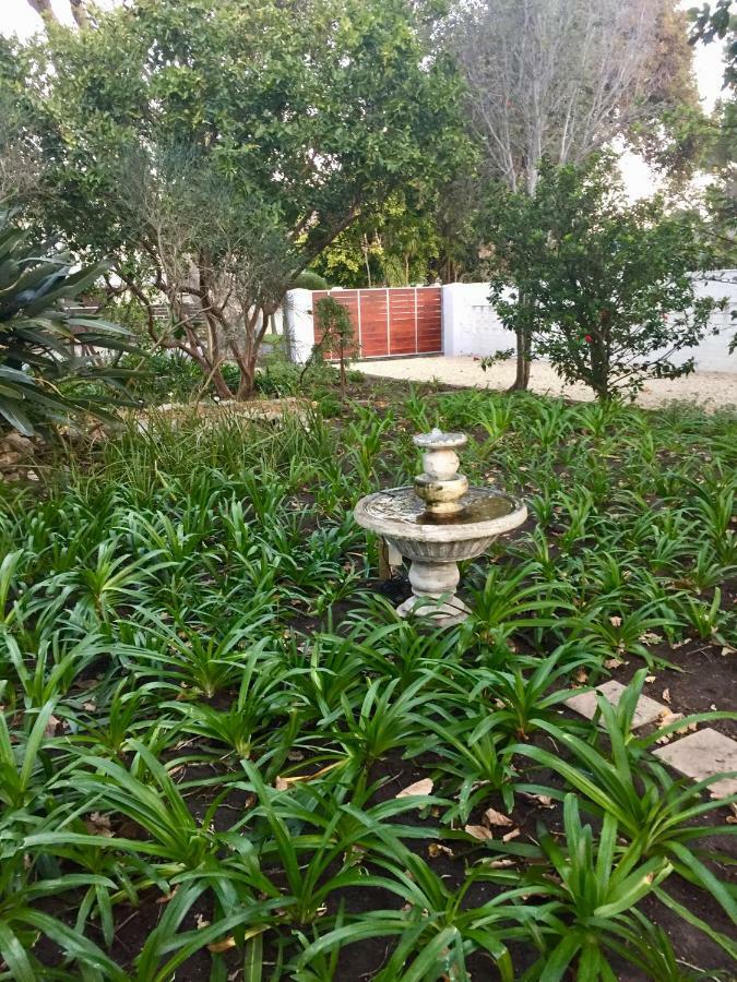 Acorn Cottage Hermanus Exterior foto