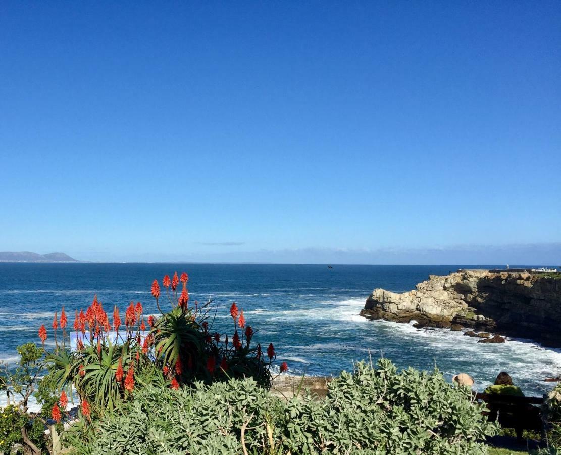 Acorn Cottage Hermanus Exterior foto