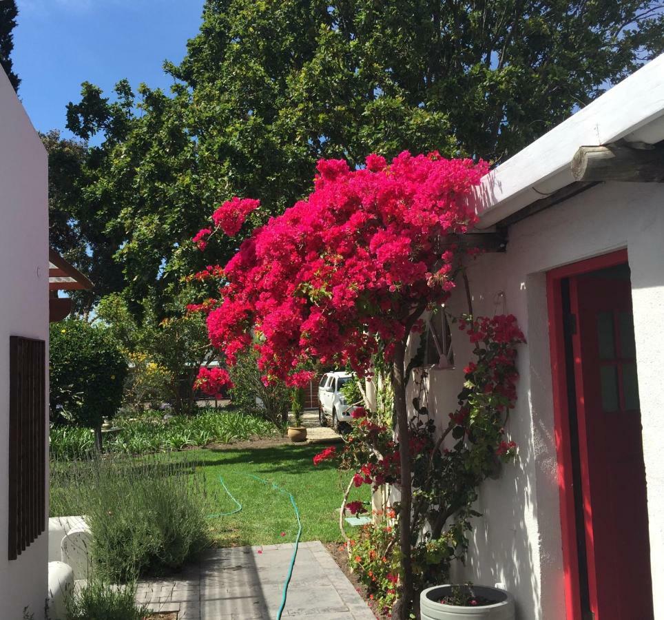 Acorn Cottage Hermanus Exterior foto